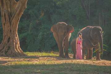 Beautiful thai women wearing traditional thai clothes standing on an elephant in nature park...