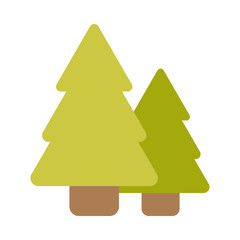 Fototapeta premium pine trees on white background