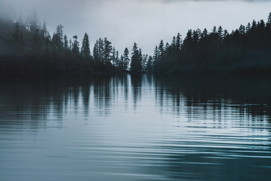 Silhouettes of pointy tree tops on hillside along mountain lake in dense fog. Reflex of pines to calm water of highland lake. Alpine tranquil landscape at early morning. Ghostly atmospheric scenery. - Powered by Adobe