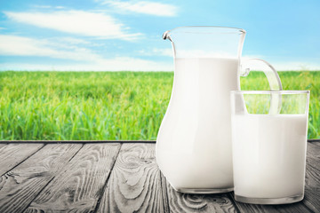 Pitcher and glass of milk on wooden table in field