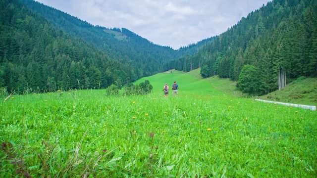 Walking on an open field in beautiful nature. Couple on a hiking adventure. Forest in the background. Topla valley, Slovenia