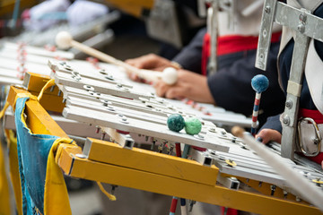 Xylophone executed by a young man in an independence parade, military march, demonstration of...