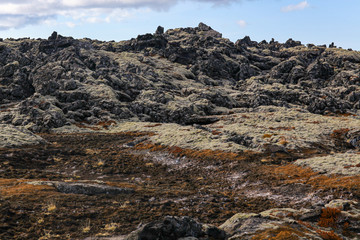 Lava rock formation with grass in Iceland. Background