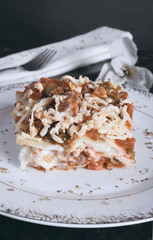 Lasagna closeup view