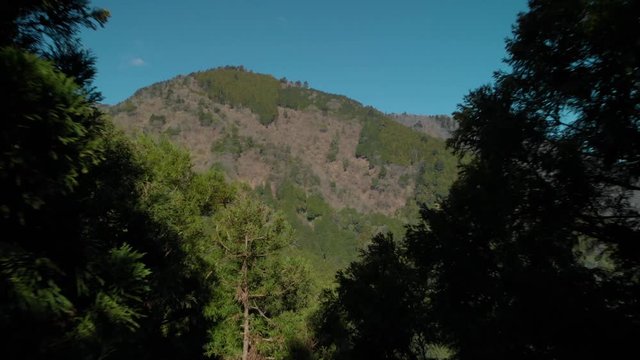 山の木々を抜けて