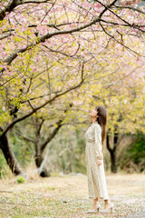 桜と女性