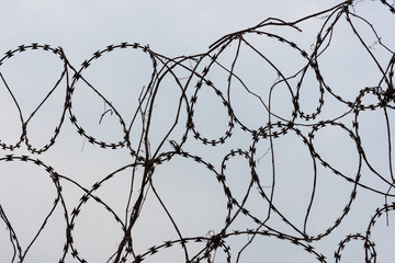 Barbed steel wire on border with sky background
