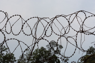 Barbed steel wire on border with sky background