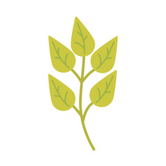 green leaves on white background