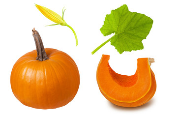 Pumpkin parts isolated. Set whole pumpkin, sliced slice, green leaf and flower cut on white background