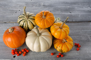 Ripe orange multi-colored pumpkins with red berries on rustic wooden background, thanksgiving concept or Halloween