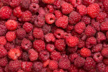 Raspberry red ripe berry background