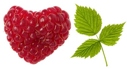 Raspberry isolated. Single red ripe raspberry heart shaped berry and green fresh leaf on white background