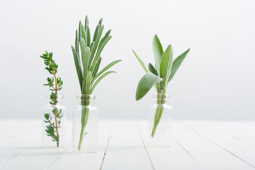 lavender, thyme and sage fresh herbal leaves in mini glass bottles, white wood table background