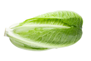 Cos lettuce isolated on a white background