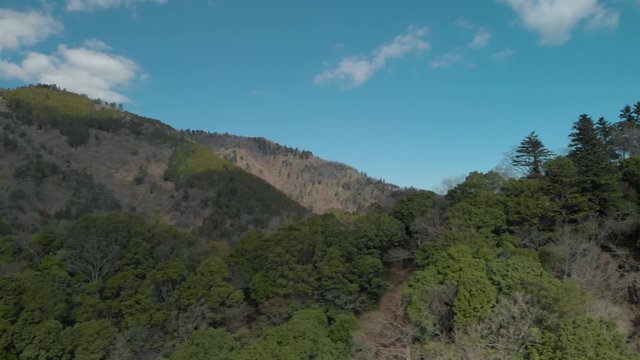 山の木々と青空