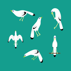 Illustration of Beautiful Bird from Bali Island Pack