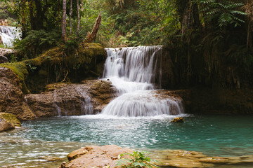 waterfall in the forest