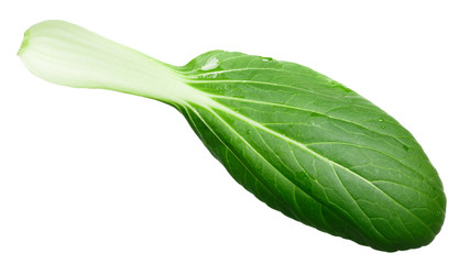 Baby bok choy chinese chard, top