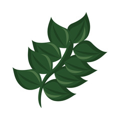 branch with ecology leafs foliage nature icon