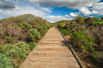 Fototapeta na wymiar Wooden boardwalk through the dunes. Oso Flaco Lake Natural Area, Oceano, California