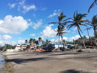 Naklejka premium tropical beach with palm trees