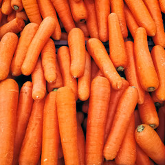 bunch of fresh carrots