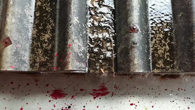 Rain on the zinc roof down to the trough