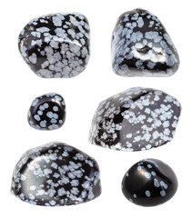 set of Snowflake Obsidian gemstones isolated
