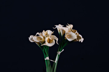 White yellow calla flowers on black background close up.