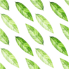 Watercolor seamless pattern with green tea leaves