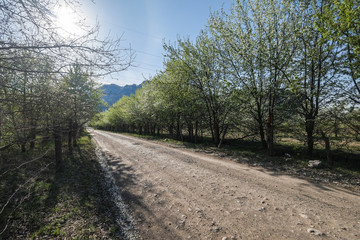 Rural road in the mountains
