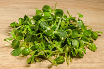 Homegrown sunflower micro green  sprouts on wooden table close up. Concept of health and growing. Modern gastronomy