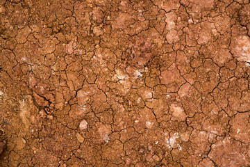 Texture of dried cracked clay. Macro background image of dried clay