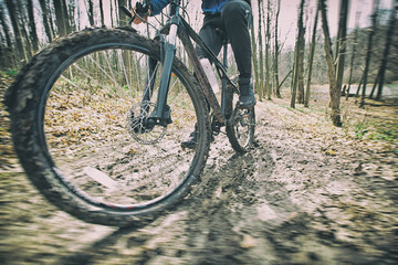 Fototapeta na wymiar The cyclist is riding on mountain bike on dirt trail in forest in the early spring