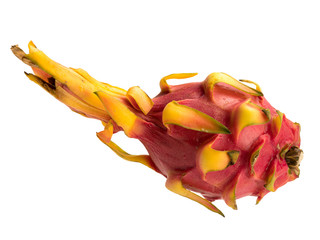 Pitaya cactus fruit isolated object