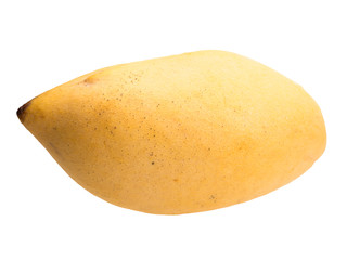 Graphic resources: isolated object fruit of a plant of the genus Mango of the Anacardia family