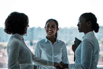 Happy office employee introducing colleagues to each other. Businesswomen standing near office window, talking, smiling and shaking hands. Introduction concept