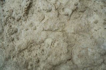 Texture of dried cracked clay. Macro background image of dried clay