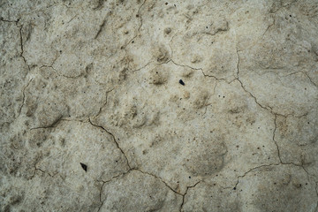 Texture of dried cracked clay. Macro background image of dried clay