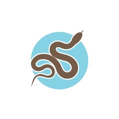 Snake icon in trendy design style. Snake icon isolated on white background