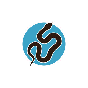 Snake icon in trendy design style. Snake icon isolated on white background