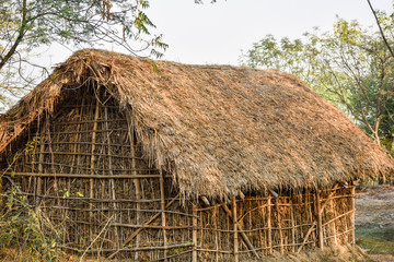 Fototapeta na wymiar Picture of a hut made of bamboo and clay in a jungle