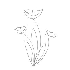 Flowers drawing on white background vector illustration