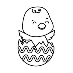 cute little chick in egg shell painted easter character
