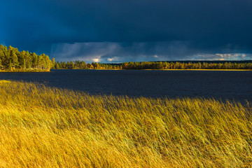 Green grass near idyllic lake, Dalarna, Sweden