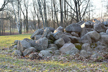 stones in forest