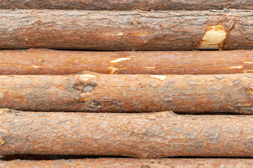 wood background unpainted, natural wood texture, horizontal arrangement