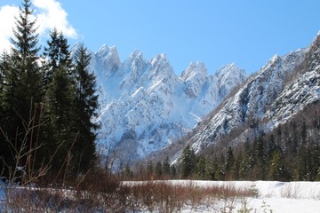 ALPI CARNICHE