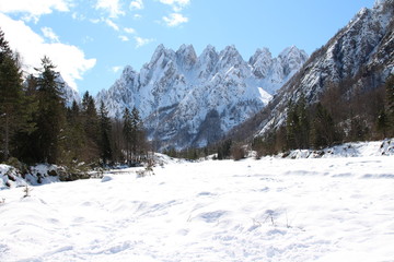 ALPI CARNICHE